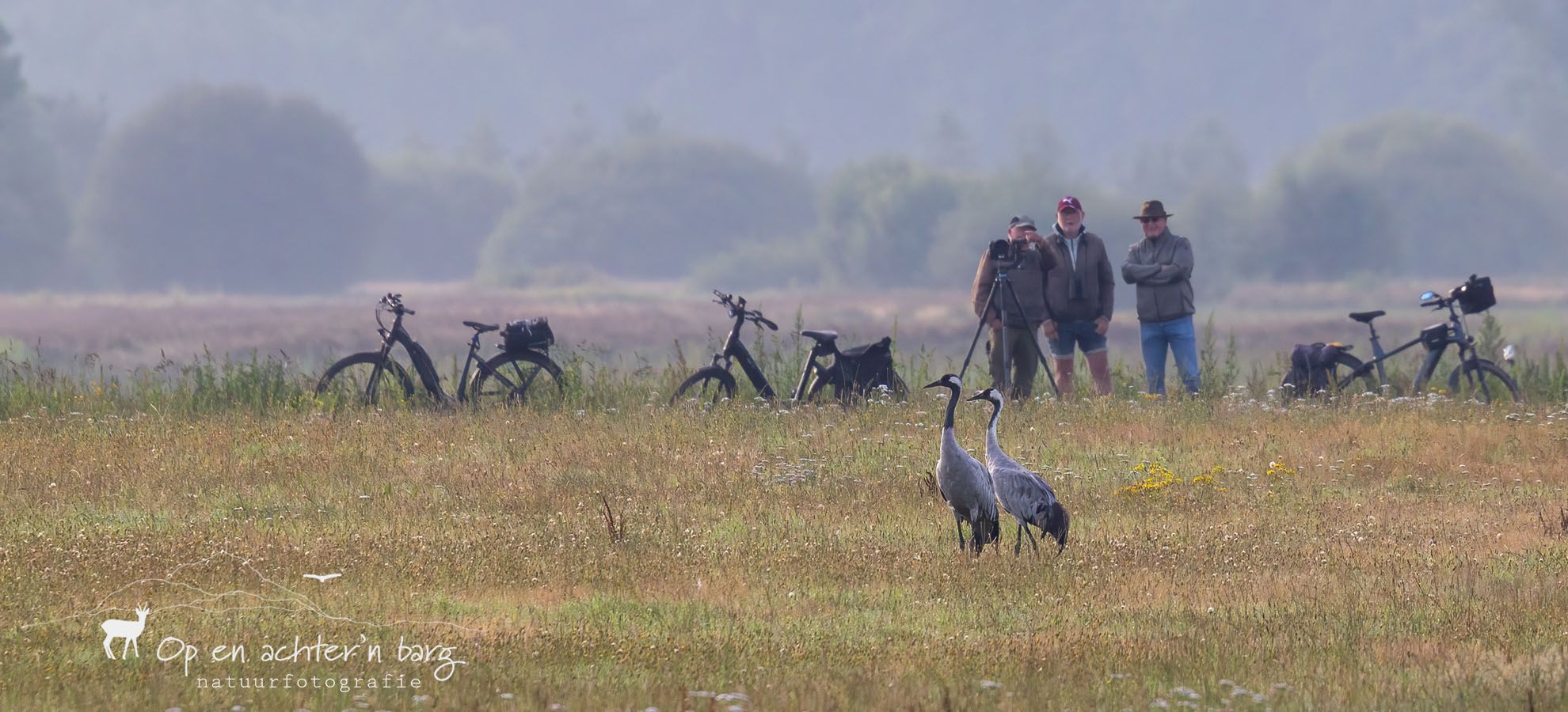 Kraanvogels en bekende gezichten